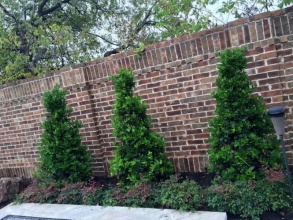 Кирпичный забор сплошной 12 метров фото в Семёнове